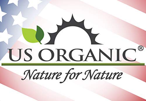 US Organic Grapefruit Pink Essential Oil, USDA Certified Organic, Cold Pressed, 100% Pure, for Face, Hair, Skin, Aromatherapy, and More (10 ml)