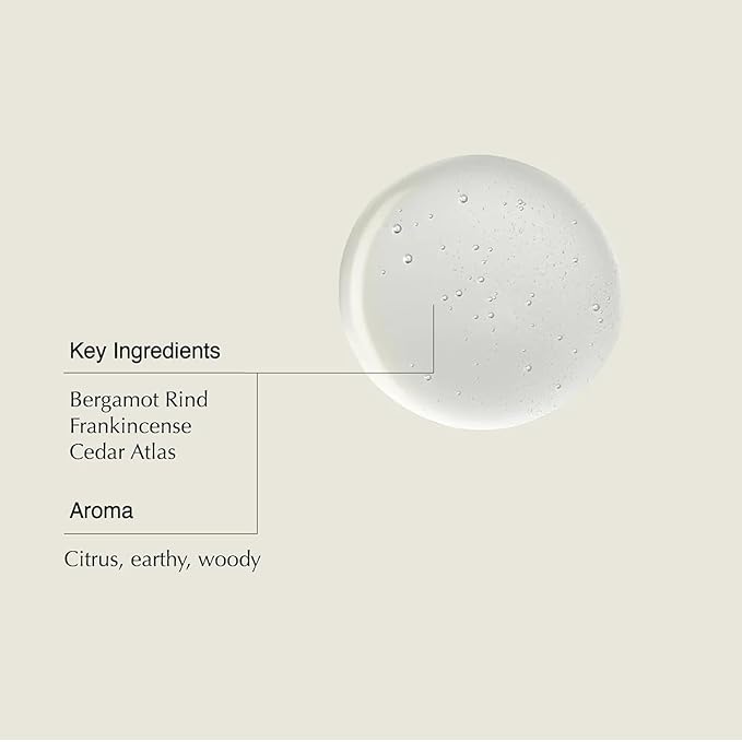 Aesop Shampoo + Refill | Soften Hair, Restore Shine | Bergamot Rind, Frankincense, Cedar Atlas | 16.9 oz / 500 mL (Pack of 2)