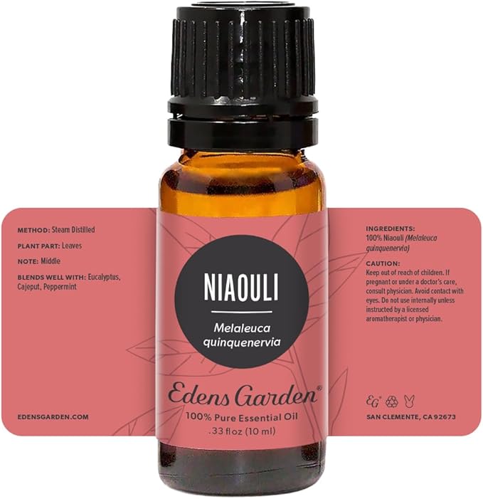 Edens Garden Niaouli Essential Oil- 100% Pure Premium Grade, Undiluted, Natural, Therapeutic, Aromatherapy, The Best for Diffuser, Skin, Candle, Humidifiers 10 ml (.33 fl oz)