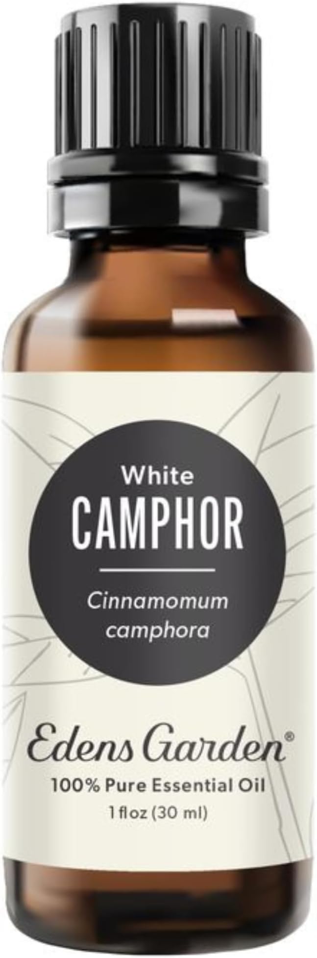 Edens Garden Camphor- White Essential Oil- 100% Pure Premium Grade, Undiluted, Natural, Therapeutic, Aromatherapy, The Best for Diffuser, Hair, Laundry, Humidifiers 30 ml (1 fl oz)