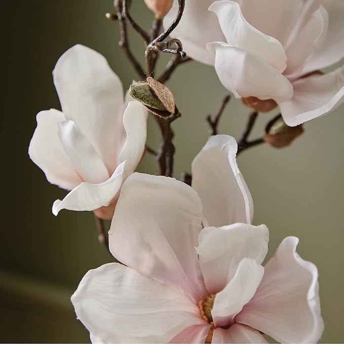 Thymes Home Fragrance Mist - Magnolia Willow - 3.0 Oz