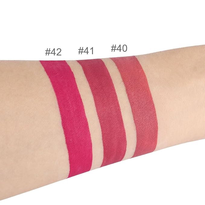 evpct 3Pcs Mauve red Berry pink Rose red Matte Liquid Lipstick Sets for Women 24-hour Matte+Lipstick Lipstick Lip Stain Gloss Long Lasting 24 Smudge Waterproof