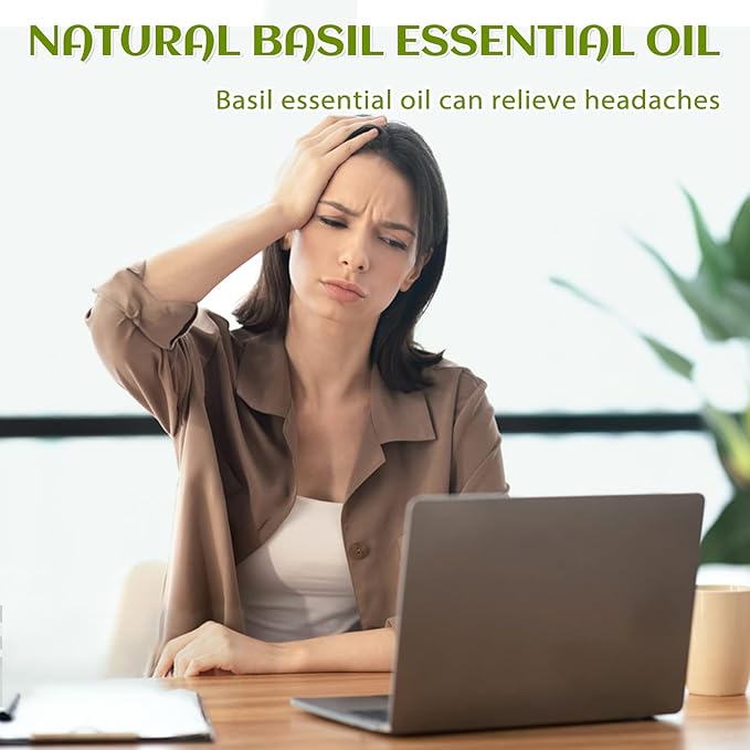 EVOKE OCCU Basil Essential Oil for Skin Massage Diffuser and Candle Making- 4 Fl Oz