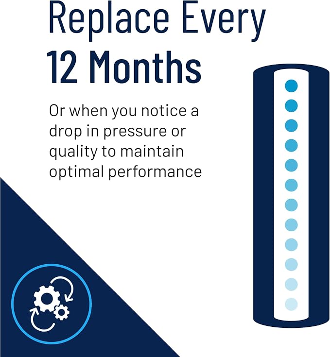 Pentair Pentek EP-20BB Big Blue Carbon Water Filter, Whole House Carbon Block - Image 4