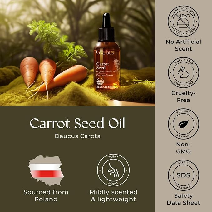 Gya Labs Carrot Seed Carrier Oil - 1 Fl Oz - for Hair, Skin, Face, Scalp & Body Massage