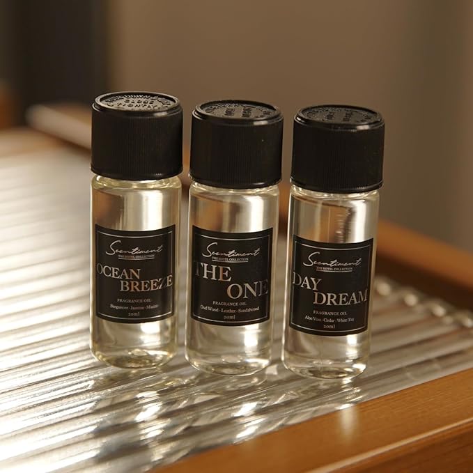 Scentiment Diffuser Oil - Sweet Autumn Fall Collection | Aromatherapy Home Fragrance | Luxurious Scent with Notes of Pumpkin, Marshmallow, Vanilla (50ml)