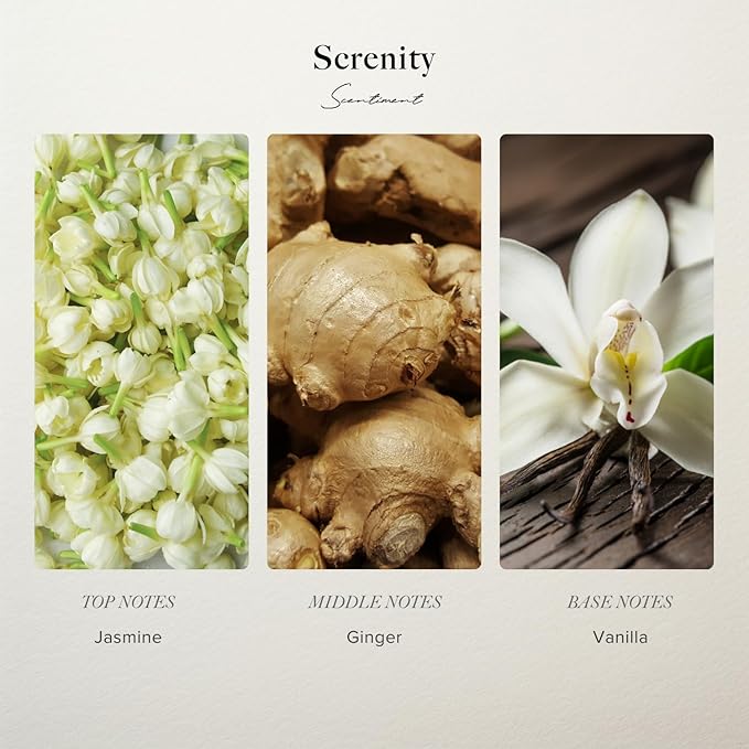 Scentiment Diffuers Oil - Serenity Hotel | Aromatherapy Home Fragrance | Inspired by Shangri-La Hotel® | Luxurious Scent with Notes of Jasmine, Ginger, Vanilla (120 mL)