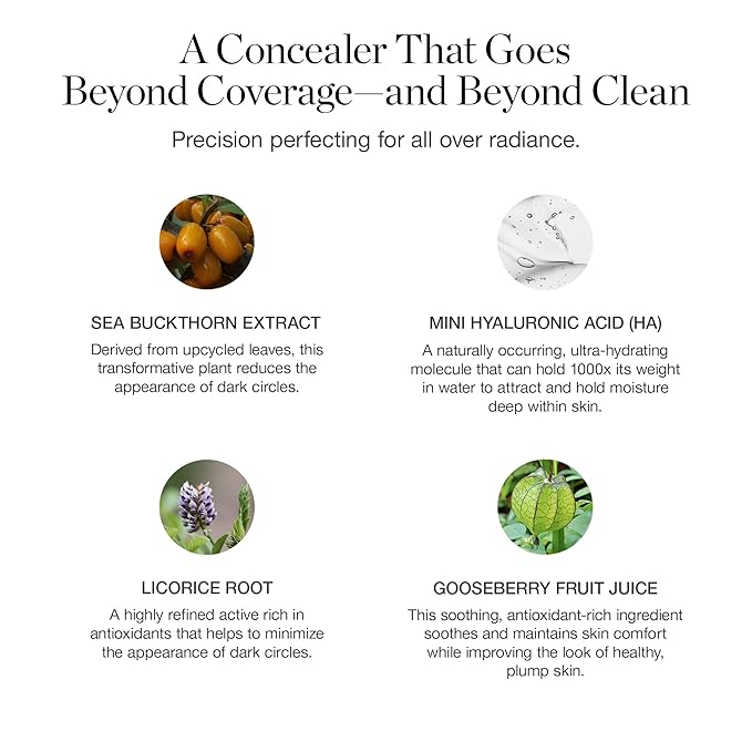 Ogee Complexion Perfecting Under Eye Concealer - Certified Organic Full Coverage Concealer - Buildable Coverage - BEECH 0.05N - Very Light (Neutral Undertones)