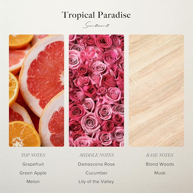 Scentiment Diffuser Oil - Tropical Paradise | Aromatherapy Fragrance Inspired by 5-Star Hotels | Luxurious Scent with Notes of Grapefruit, Green Apple, Musk (20 mL)