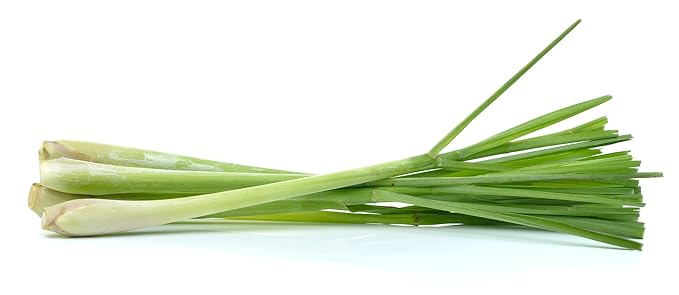 US Organic 100% Pure Lemongrass Essential Oil, USDA Certified Organic, Extracted by Steam Distillation Method, for Hair, Nail Polish Remover, Bees Attraction, and More. 10 ml