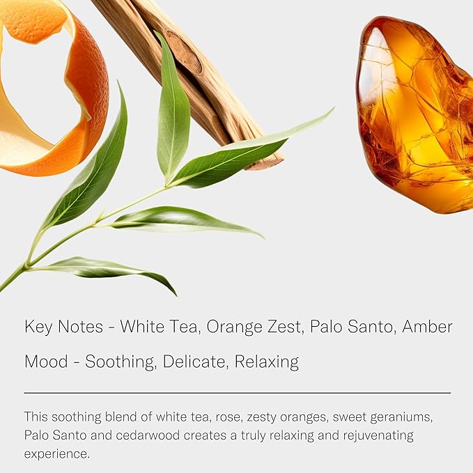 AromaTech White Tea Aroma Essential Oil Blend: Luxury Hotel Inspired Aromatherapy with White Tea, Orange & Palo Santo for Ultrasonic Diffusers & Nebulizers - 4 fl oz, 120 mL