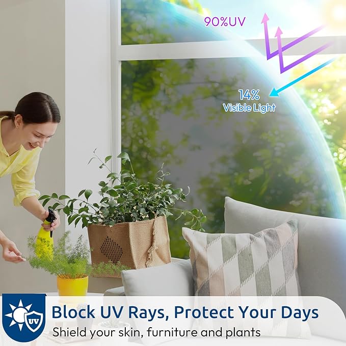rabbitgoo Window Privacy Film One Way Window Tint for Home, Removable Reflective Heat Sun Blocking Anti UV Glass Door Covering, Mirror Tinting Film House Office, 23.6 in X 6.5 Feet, Black Silver