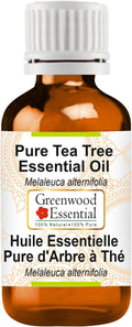 Greenwood Essential Tea Tree Essential Oil (Melaleuca alternifolia) Steam Distilled 100ml (3.38 oz)