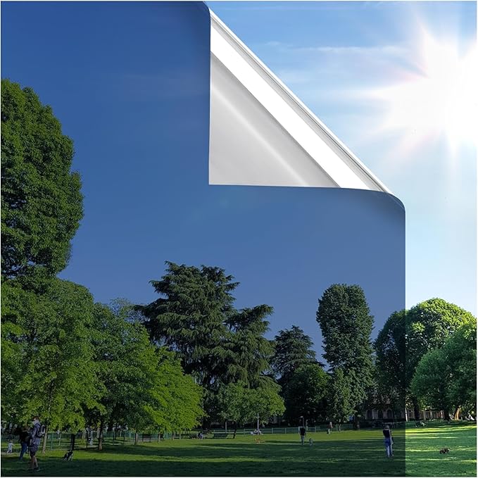 rabbitgoo Window Privacy Film One Way Window Tint for Home, Removable Reflective Heat Sun Blocking Anti UV Glass Door Covering, Mirror Tinting Film House Office, 23.6 in X 6.5 Feet, Blue Silver