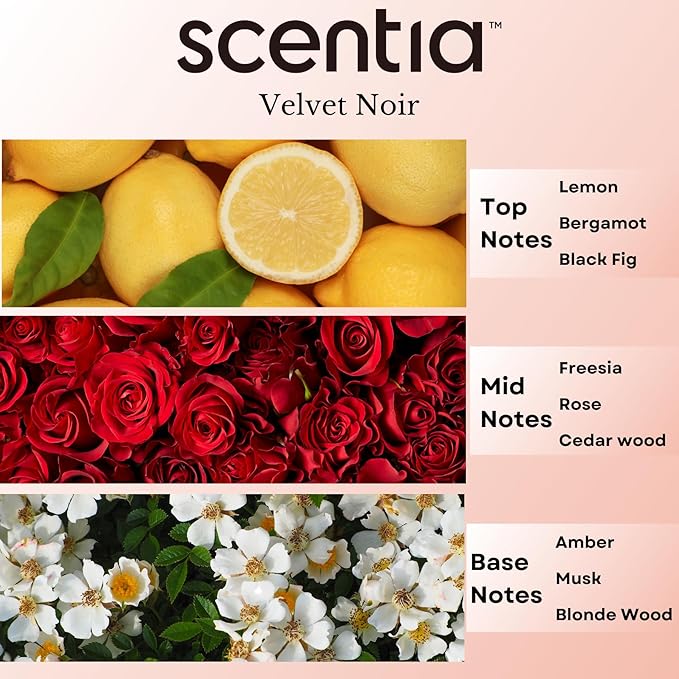 Scentia Noir Mystique – Hotel-Inspired Diffuser Oil, 20ml (0.67 fl oz) | Essential Oil Blend of Rose, Bergamot, Lemon & Musk | Luxury Aroma for Aromatherapy Diffusers & Humidifiers, Thanksgiving Gift