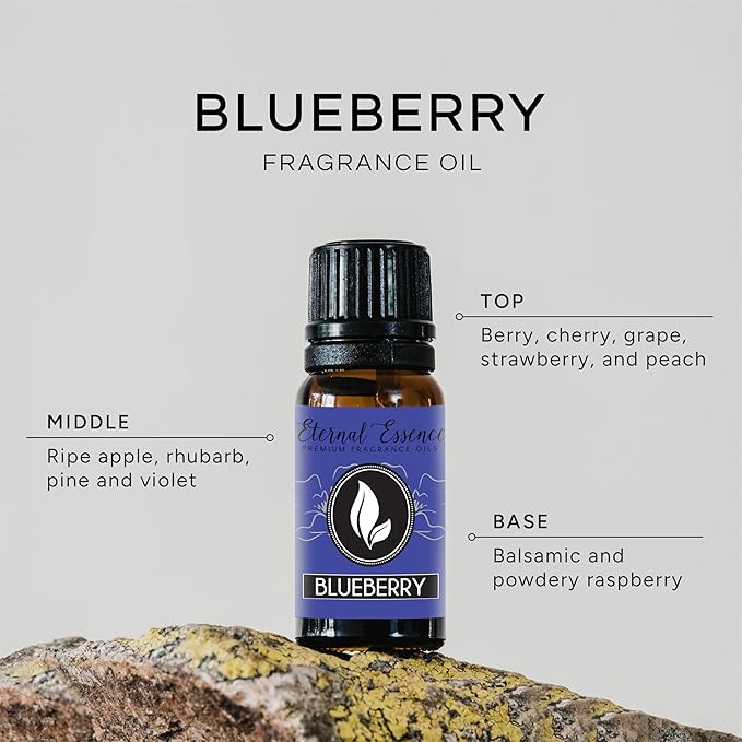 Blueberry Premium Grade Fragrance Oil - 10ml - Scented Oil