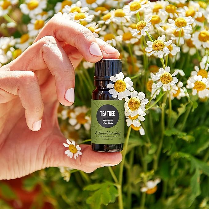 Edens Garden Tea Tree Essential Oil- 100% Pure Premium Grade, Undiluted, Natural, Therapeutic, Aromatherapy, The Best for Diffuser, Hair, Humidifiers, Kid Safe118 ml (4 fl oz)