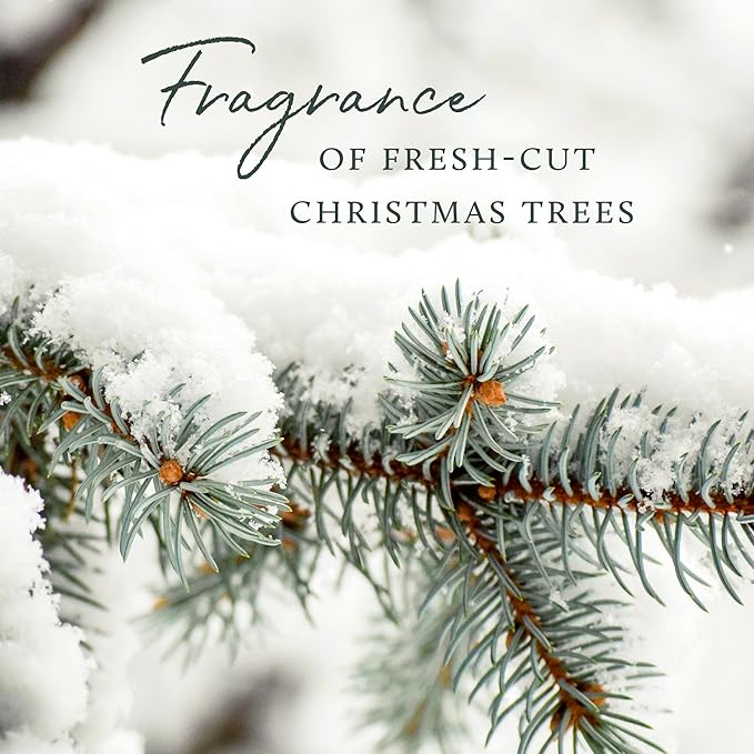 Thymes Home Fragrance Mist – Room Air Fresheners for Home Long Lasting – Air Freshener Spray – Pine Room Spray with Notes of Crisp Siberian Fir Needles, Cedarwood & Sandalwood (Frasier Fir, 3 oz)