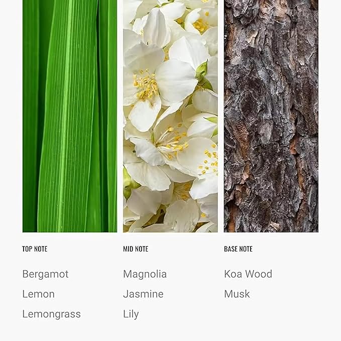 24K Magic Diffuser Oil 120mL – Hotel Scented Essential Oil for Diffuser – Inspired by W Hotels – Luxury Aromatherapy Oil Blend – Bergamot, Jasmine, Lemongrass, Musk