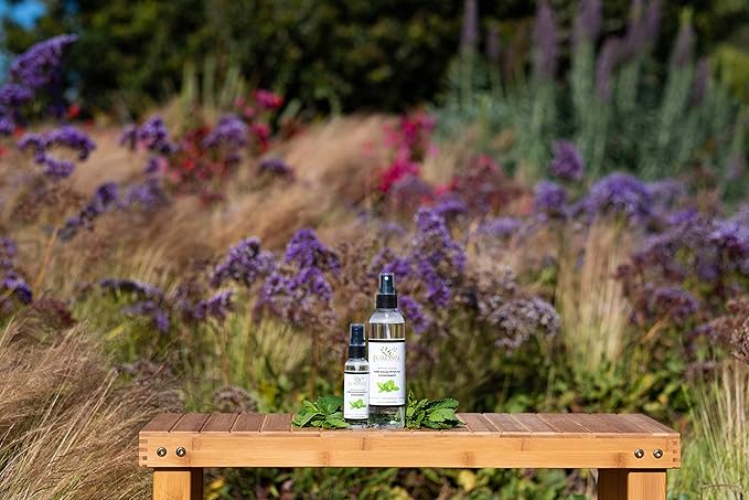 EuroSpa Aromatics Pure Eucalyptus Oil ShowerMist and Steam Room Spray, All-Natural Premium Aromatherapy Essential Oils - Menthol Infused, 2oz, 2 Pack