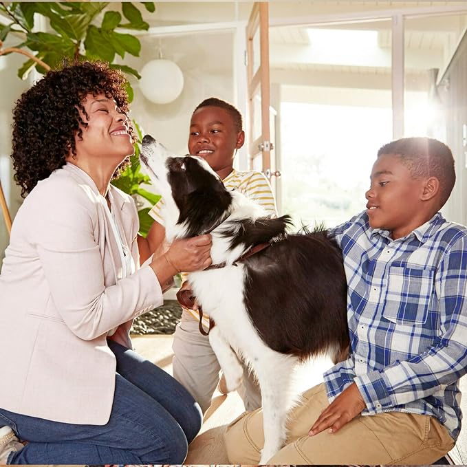Filtrete 14x20x1 AC Furnace Air Filter, MERV 13, MPR 1900, Premium Allergen - Image 10