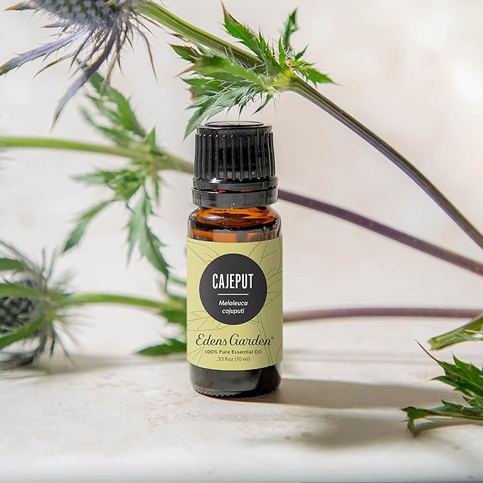 Edens Garden Cajeput Essential Oil- 100% Pure Premium Grade, Undiluted, Natural, Therapeutic, Aromatherapy, The Best for Diffuser, Skin, Hair, Humidifiers 30 ml (1 fl oz)