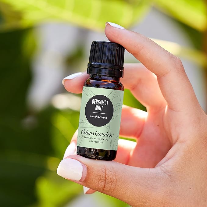 Edens Garden Bergamot Mint Essential Oil- 100% Pure Premium Grade, Undiluted, Natural, Therapeutic, Aromatherapy, The Best for Diffuser, Skin, Candle, Laundry 10 ml (.33 fl oz)