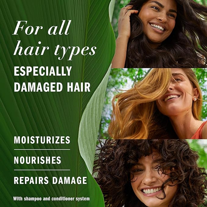 Herbal Essences Argan Oil Repair Shampoo & Conditioner Set, Moisturizes & Smoothes, Paraben-Free, Color-Safe, pH-Balanced, Citrus Scent, 20.2 Fl Oz, 2-Pack
